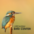 TOPALEKU DIGITAL: Visita virtual a Urdaibai Bird Center