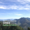 TOPALEKU DIGITALA: Barakaldo oinez – Arroletza eta Sasiburu